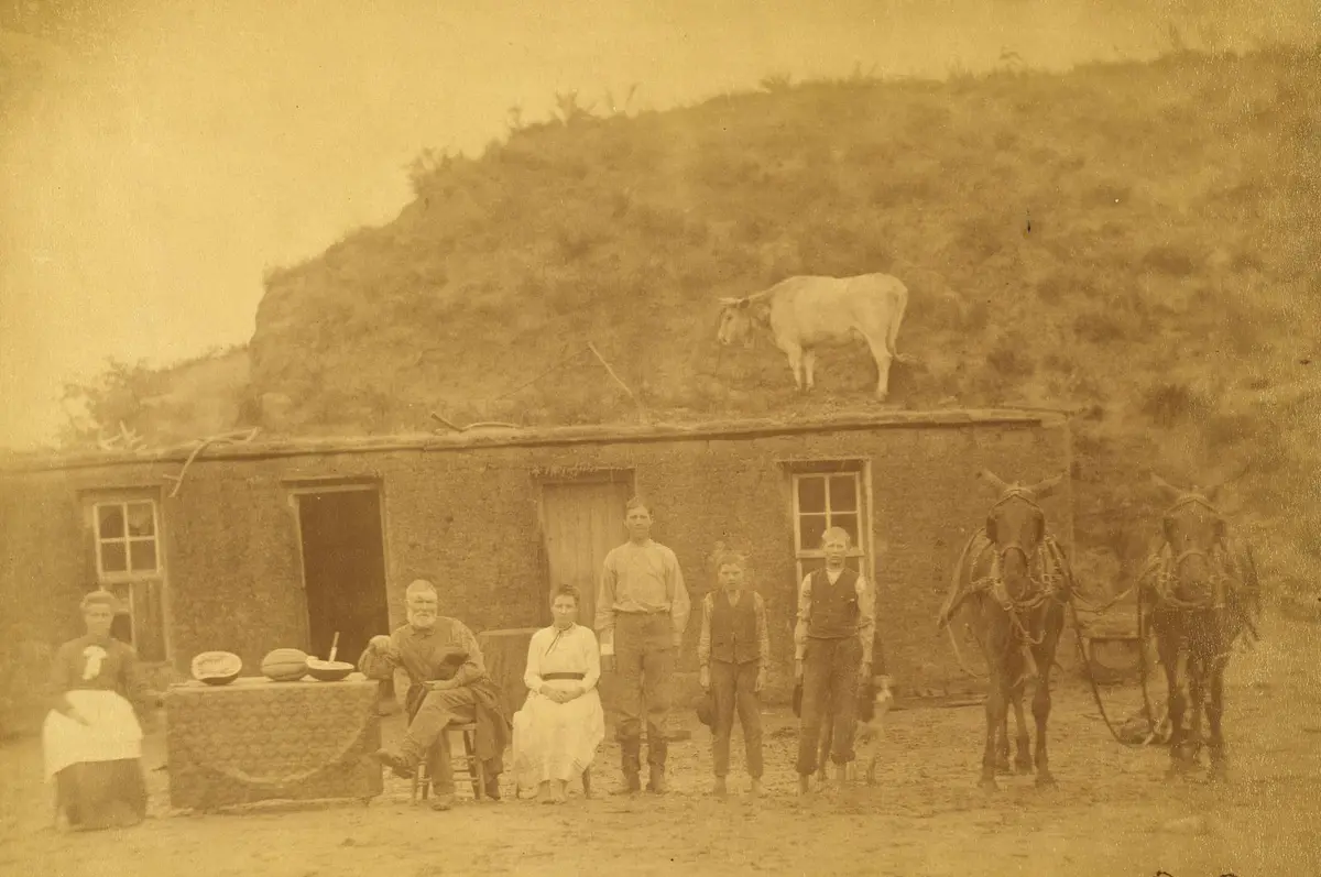 The Sylvester Rawding family in front of their sod house north of Sargent, Custer County, Nebraska, in 1886, with a cow on the sod roof.