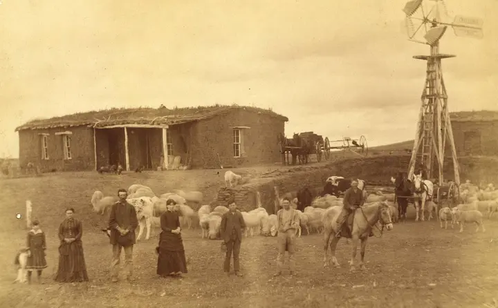 William Moore and family with their sheep and windmill near Sargent, Custer County, Nebraska, in 1886.