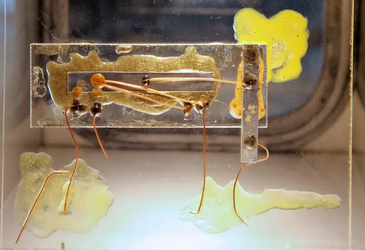 A replica of Jack Kilby’s first integrated circuit of 1958: a germanium bar with its parts joined by fine gold wires, mounted on glass