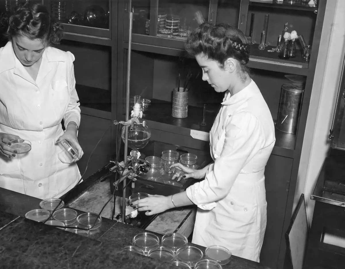 Technicians at the USDA Northern Regional Research Laboratory in Peoria test mold samples in the worldwide strain search, about 1943. Mary Hunt is believed to be on the left.