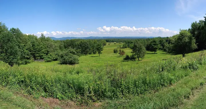 The Saratoga battlefield today, preserved in Saratoga National Historical Park at Stillwater, New York.