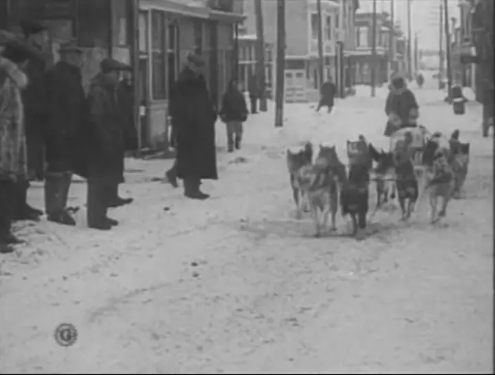 Kaasen’s team on Front Street, Nome, filmed for a Gaumont newsreel later on the day the serum arrived, 2 February 1925.
