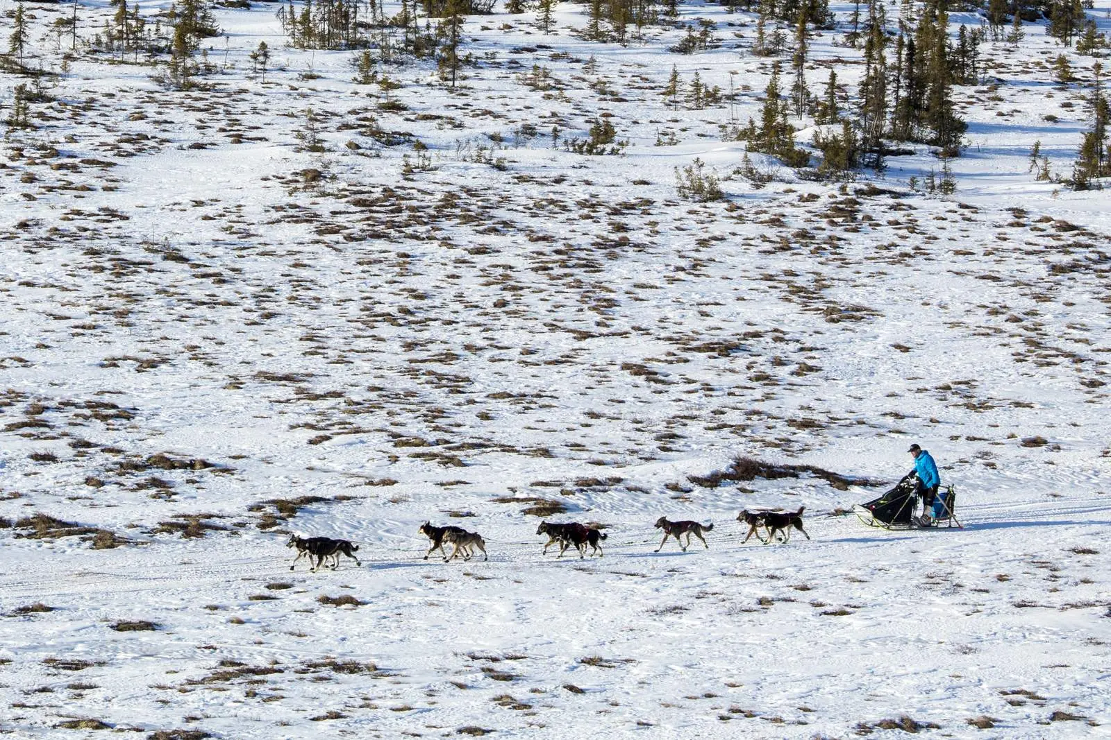 A team crosses open country on the Iditarod National Historic Trail, March 2016.
