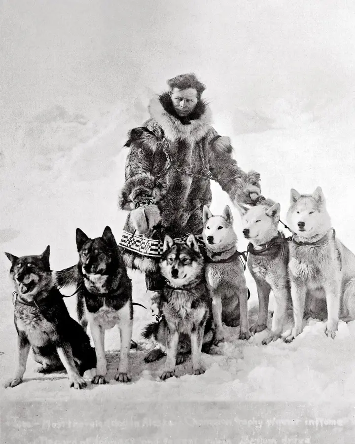 Leonhard Seppala with six of his Siberian huskies, about 1924–25. Togo is at far left.