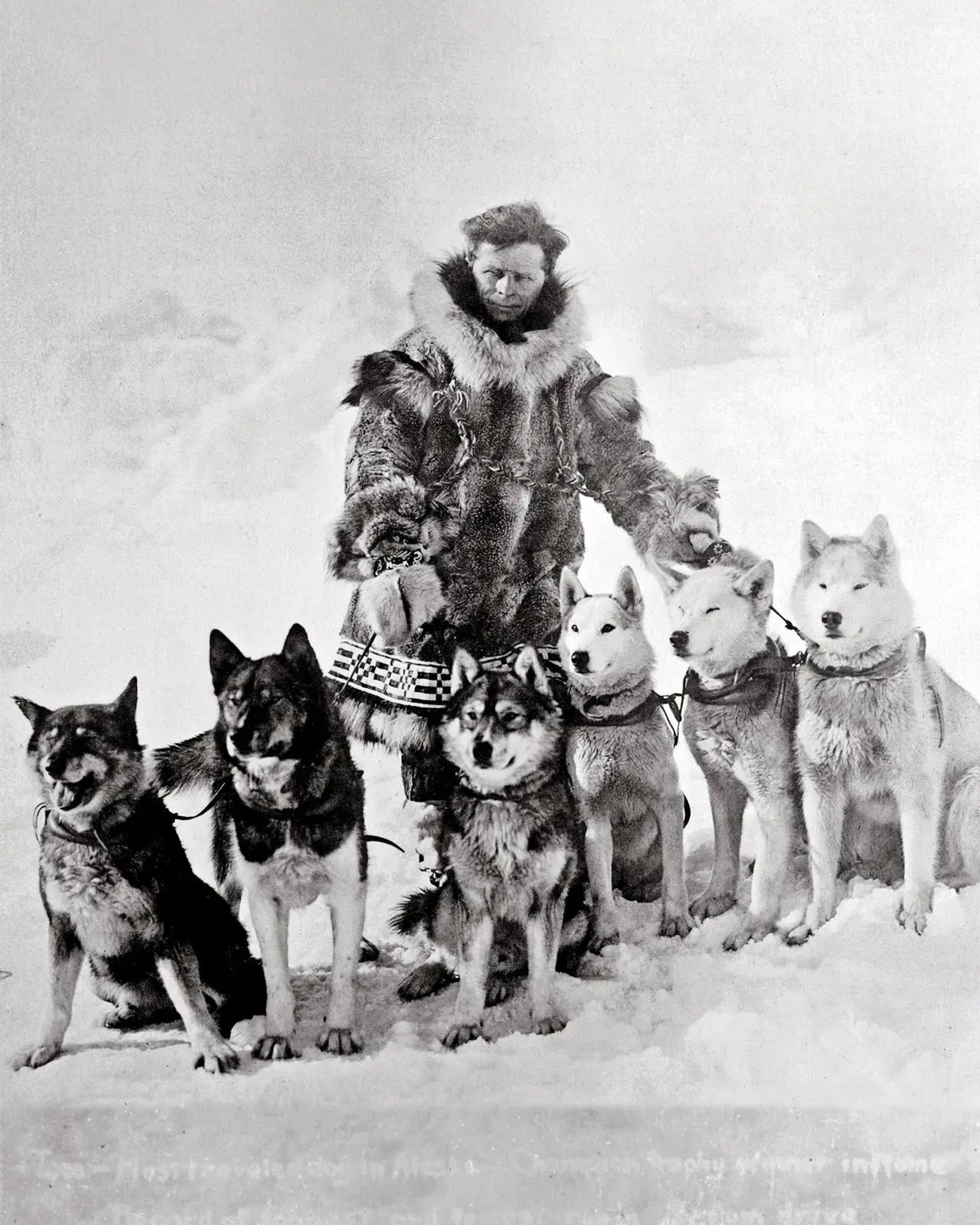 Leonhard Seppala with six of his Siberian huskies, about 1924–25. Togo is at far left.