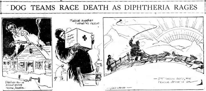 “Dog Teams Race Death as Diphtheria Rages”: a newspaper drawing of the relay, January 1925.