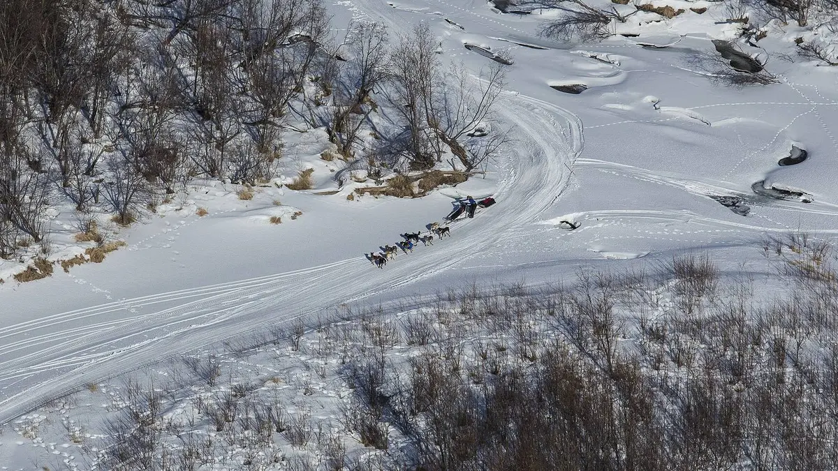 A dog team on the Iditarod National Historic Trail between Kaltag and Unalakleet, the stretch Jackscrew and Victor Anagick ran with the serum in 1925. Photographed in March 2016.